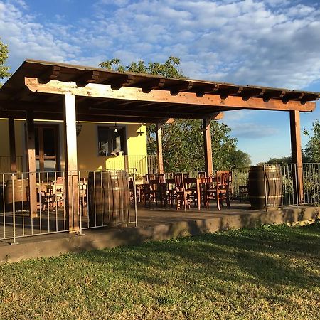 Agriturismo Petrognano Sant'Ellero ภายนอก รูปภาพ