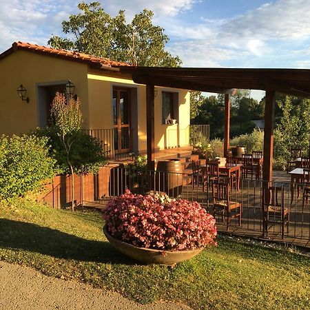 Agriturismo Petrognano Sant'Ellero ภายนอก รูปภาพ